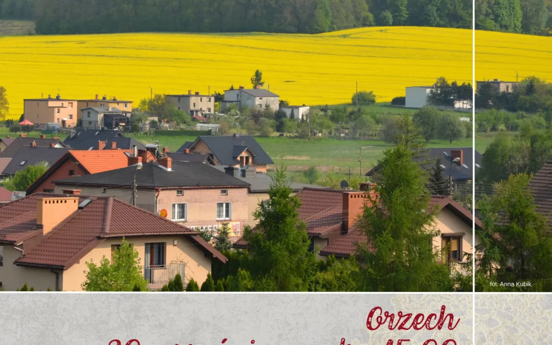 Spacer historyczny po Orzechu